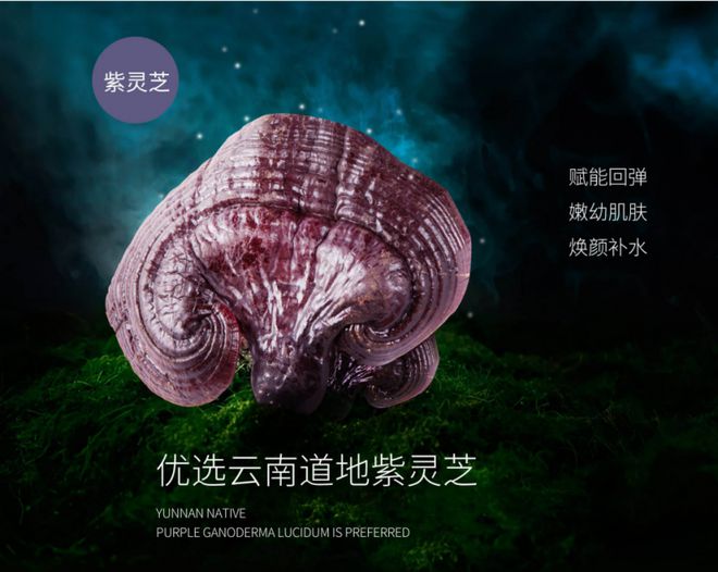 物紫灵芝护肤智慧铸就肌肤自然之美J9数字平台焕生泉：发掘高山植(图4)