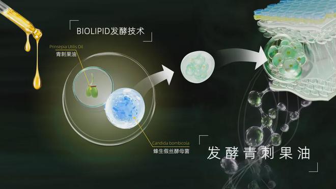 「化妆品」新原料白刺花籽提取物备案成功九游会登录j9入口贝泰妮 旗下第13款(图2)